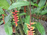 16387IMG_5171.JPG