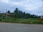 55796CIMG6414.JPG