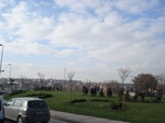 5950DSC05235.JPG
