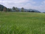21414RIMG0033.JPG