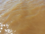 2012-09-21_14-25-47_CIMG0158.JPG