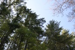 203IMG_4099.JPG