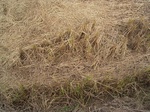 3202R0017236.JPG
