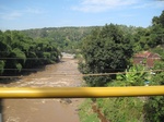 13959IMG_4251.JPG