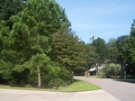 2012-09-02_09-38-28_SC-GT-9 West.jpg