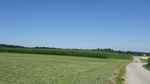 2016-07-25_03-26-56_DSCF1551.JPG