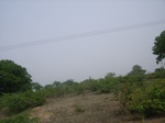 3873RIMG0177.JPG