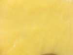2012-09-21_14-25-39_CIMG3146.JPG