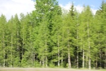 2018-04-14_13-44-16_2017-06-10 07.39.16.jpg
