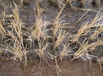 8499IMG_0324.JPG