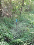 2012-09-24_10-40-13_DSC03139.JPG