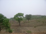 3877RIMG0181.JPG