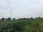 2017-09-10_20-40-47_B0E40577-45C0-428A-95A2-6CA3125E7363.jpg