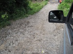 15179IMG_3999.JPG