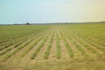 2022-05-26_14-15-43_D2113755-AE35-4447-9BD8-DB60595BBEE8.jpeg