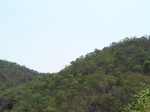 1789327042008(28).JPG