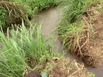 2012-09-07_10-20-03_CIMG6740.JPG