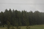 2018-04-14_14-18-39_2017-06-12 05.29.34.jpg