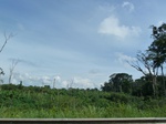 20125P1010976.JPG
