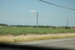 2022-05-26_14-36-59_2595C980-E58D-4BD3-BA30-C5EBC56CAA22.jpeg