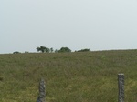 529427042008(91).JPG