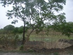 4038RIMG0342.JPG