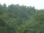 2012-09-08_20-00-57_RIMG0086.JPG