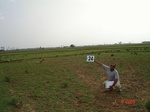 6162024b-irrigated-supplemental-rice-rainfall-dependent-tank-irrigation-2crops.jpg