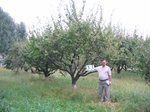 8033033-Farm land (Surface water) apricot-a.jpg