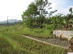 14690IMG_5071.JPG