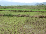 2012-09-07_10-02-56_CIMG6630.JPG