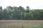 2022-06-11_17-54-35_769C7EDF-D299-4087-B9B1-56B81BF307C9.jpeg