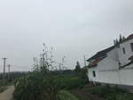 2017-09-10_07-08-35_1C9AF14B-EBCA-45A4-B15D-37618FD3CAA2.jpg