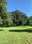 2020-08-19_11-48-45_2020-8-19-10-17-54.jpg