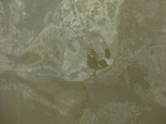 58610CIMG3060.JPG