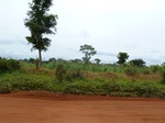 18554P1000390.JPG