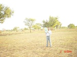 6453gt006-cropland-1.jpg
