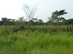 19863P1010713.JPG