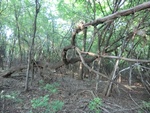 2012-09-21_16-12-33_CIMG3002.JPG