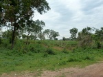 18414P1000250.JPG