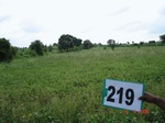 127830219b-rainfed-agriculture-soyabean.gif