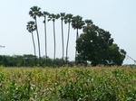 17336100_2022.JPG