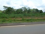 19835P1010685.JPG