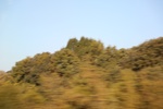 2018-04-30_11-01-13_2017-09-14 17.27.13.jpg