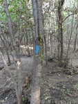 2012-09-24_10-40-19_DSC03116.JPG