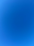 2021-11-29_16-31-09_2021-11-29-16-29-51.jpg