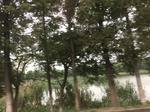 2017-09-10_20-38-56_2C3DF08E-D841-4570-B6B3-22E57D0EDB6B.jpg