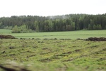 2018-04-14_14-18-53_2017-06-12 06.54.41.jpg