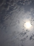 2020-08-16_13-00-21_2020-8-16-12-58-5.jpg