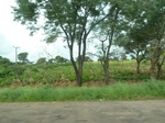 20869P1020733.JPG